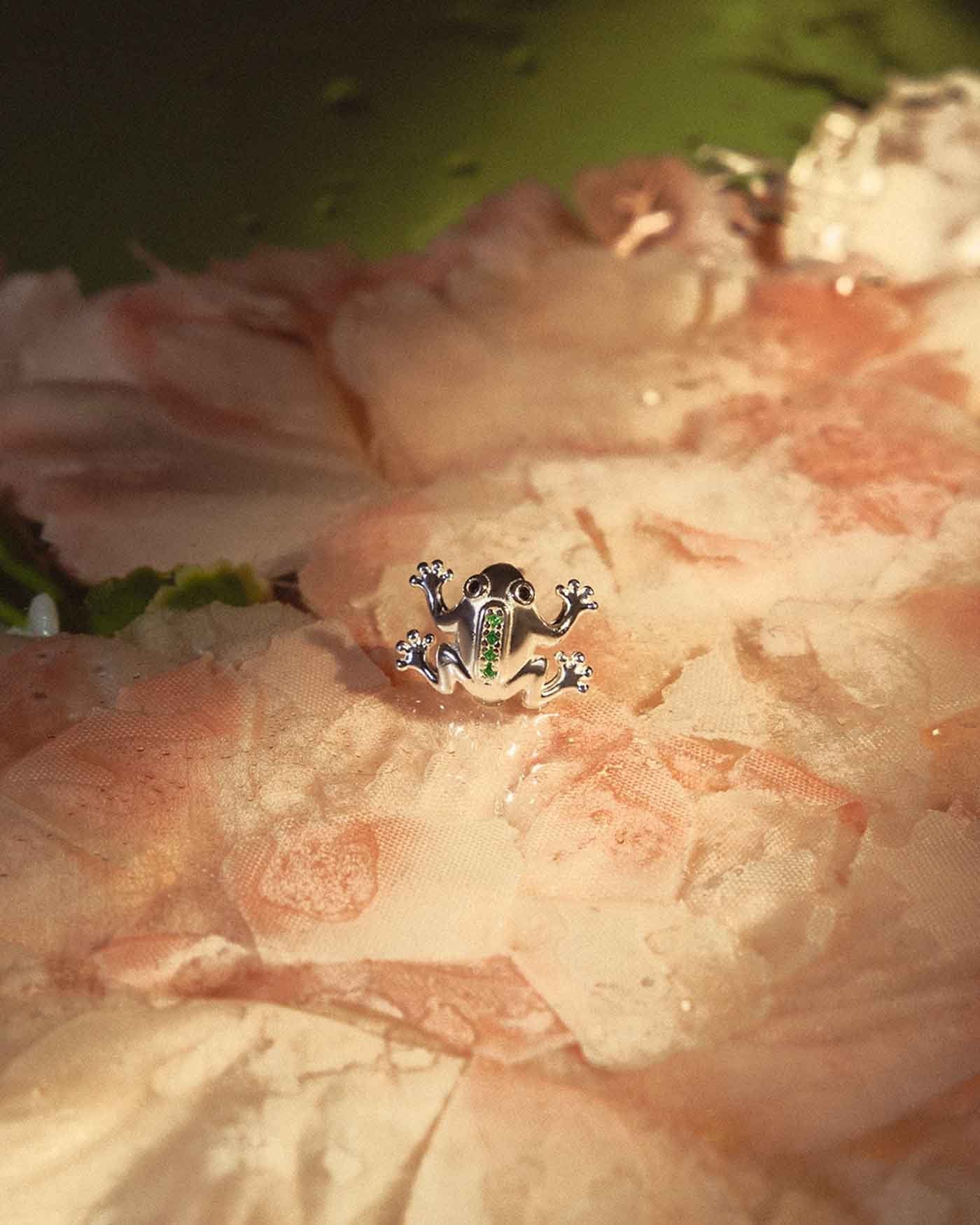Orecchino Froggy
