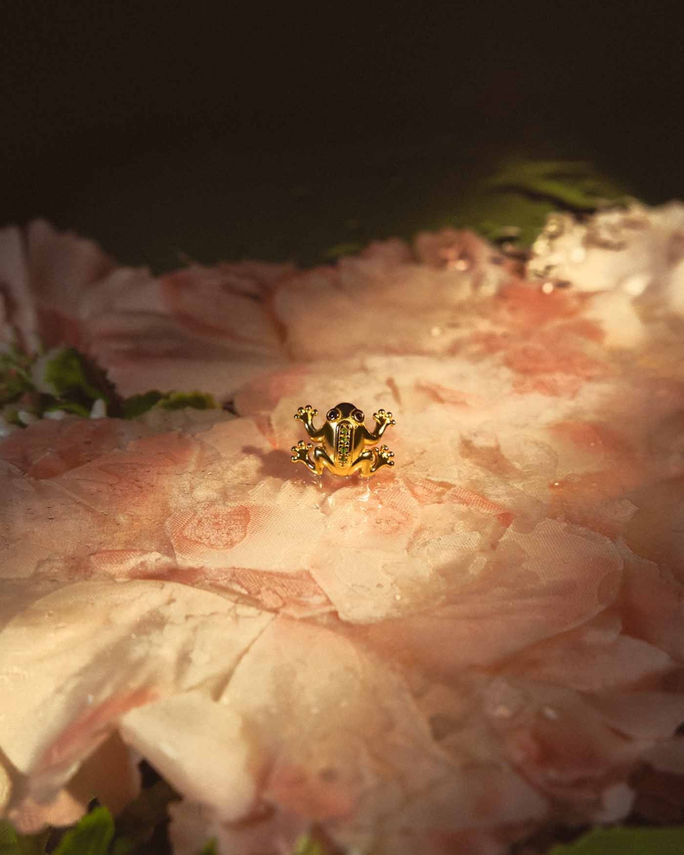 Orecchino Froggy